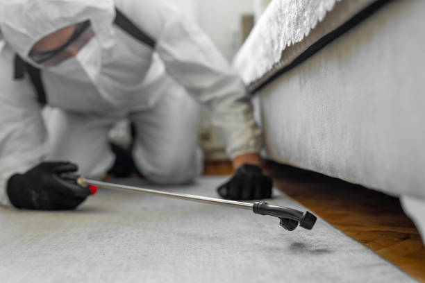 Professional Bed Bug Control technician working in Olympia, SC